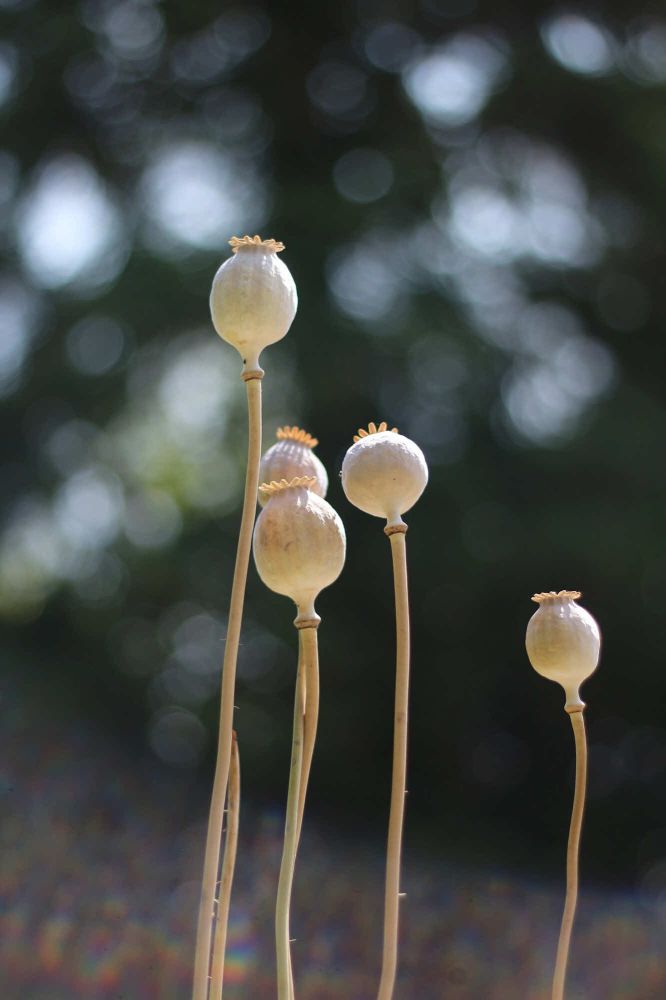 13 Rang 139 Luechinger Antoinette